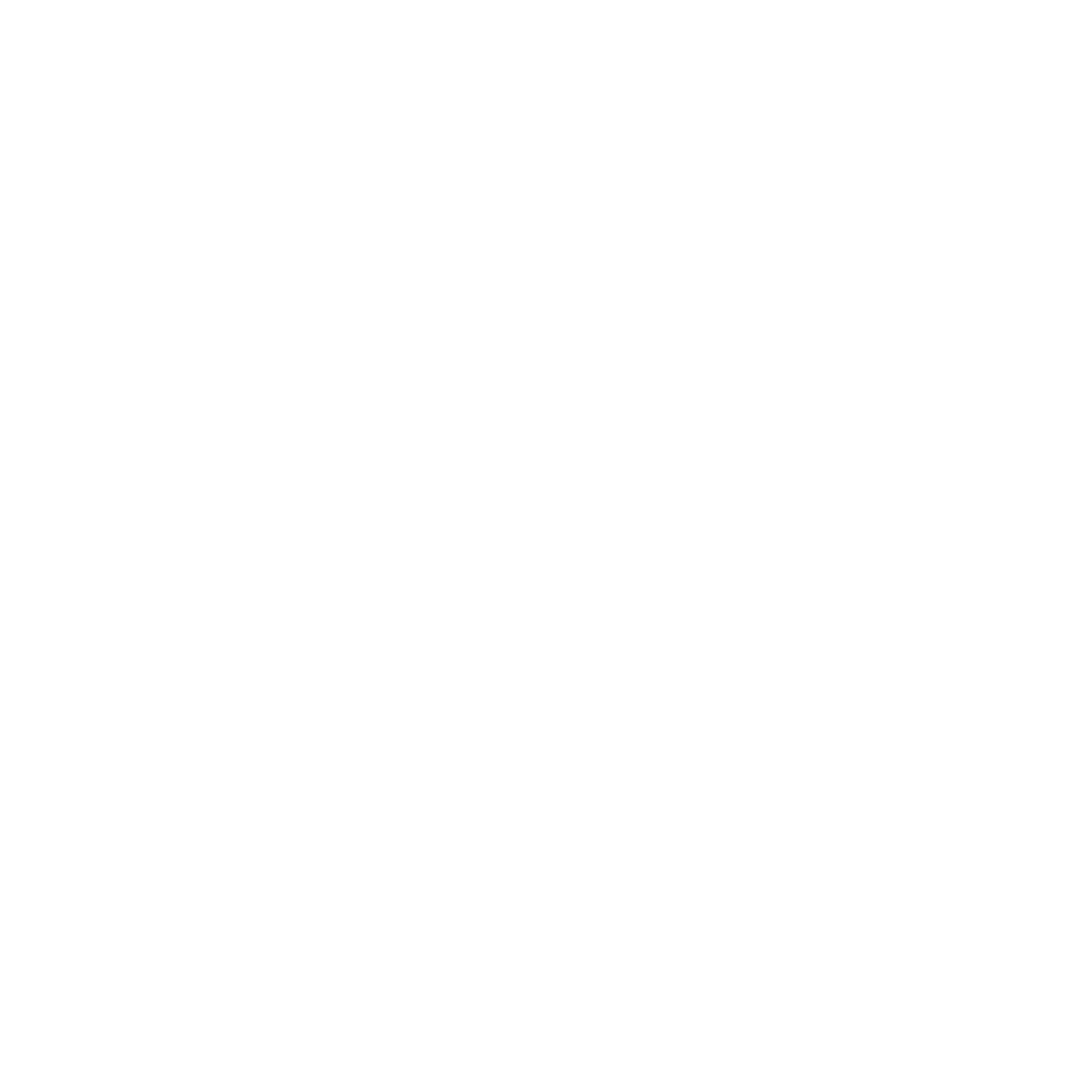 insta icon